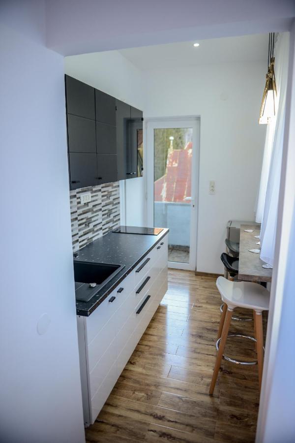 Laura Apartments Sinaia Luaran gambar