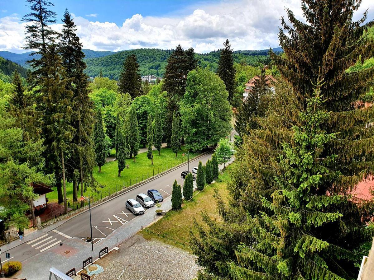 Laura Apartments Sinaia Luaran gambar