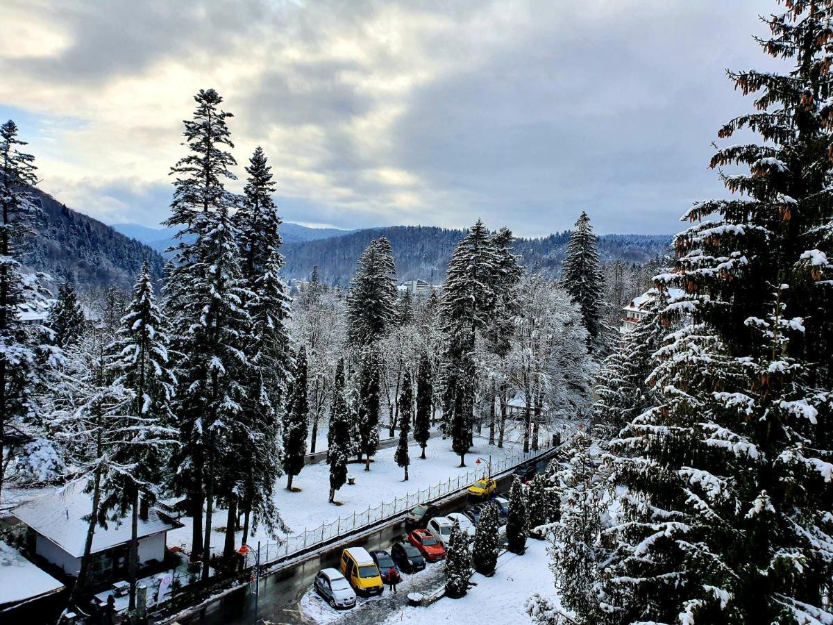 Laura Apartments Sinaia Luaran gambar