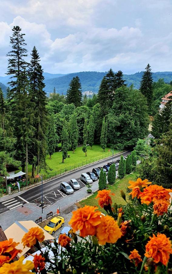 Laura Apartments Sinaia Luaran gambar