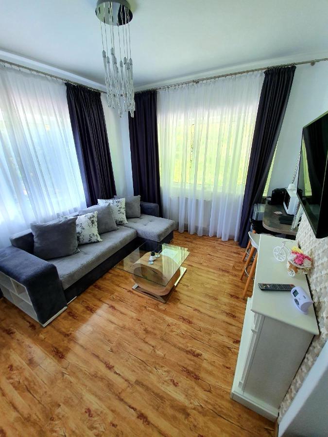 Laura Apartments Sinaia Luaran gambar