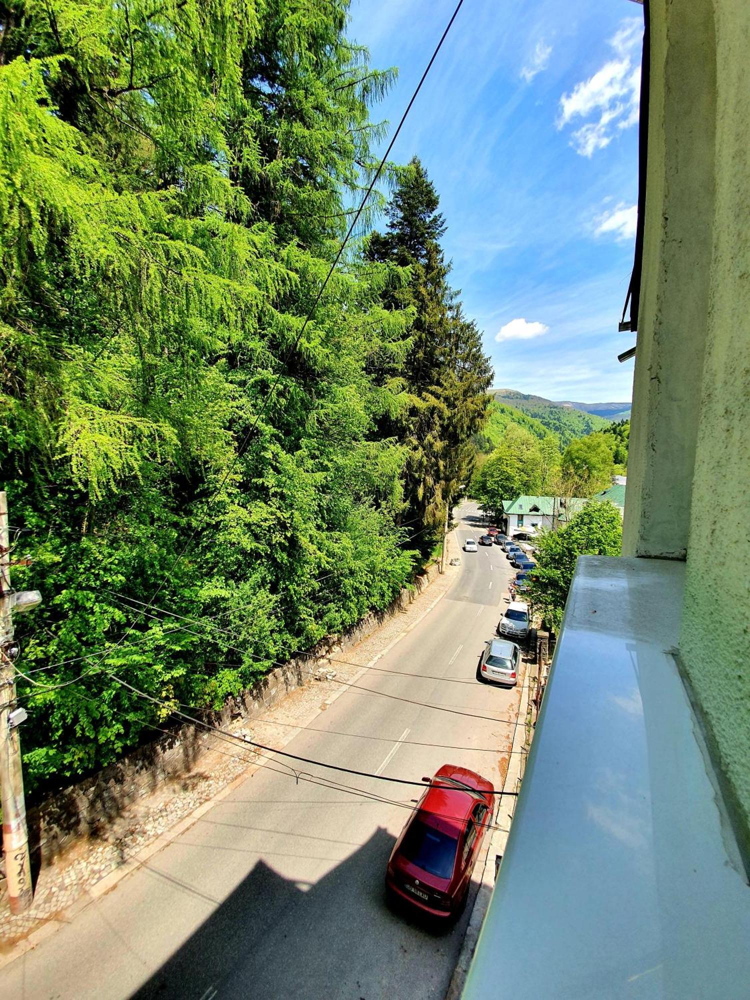 Laura Apartments Sinaia Bilik gambar