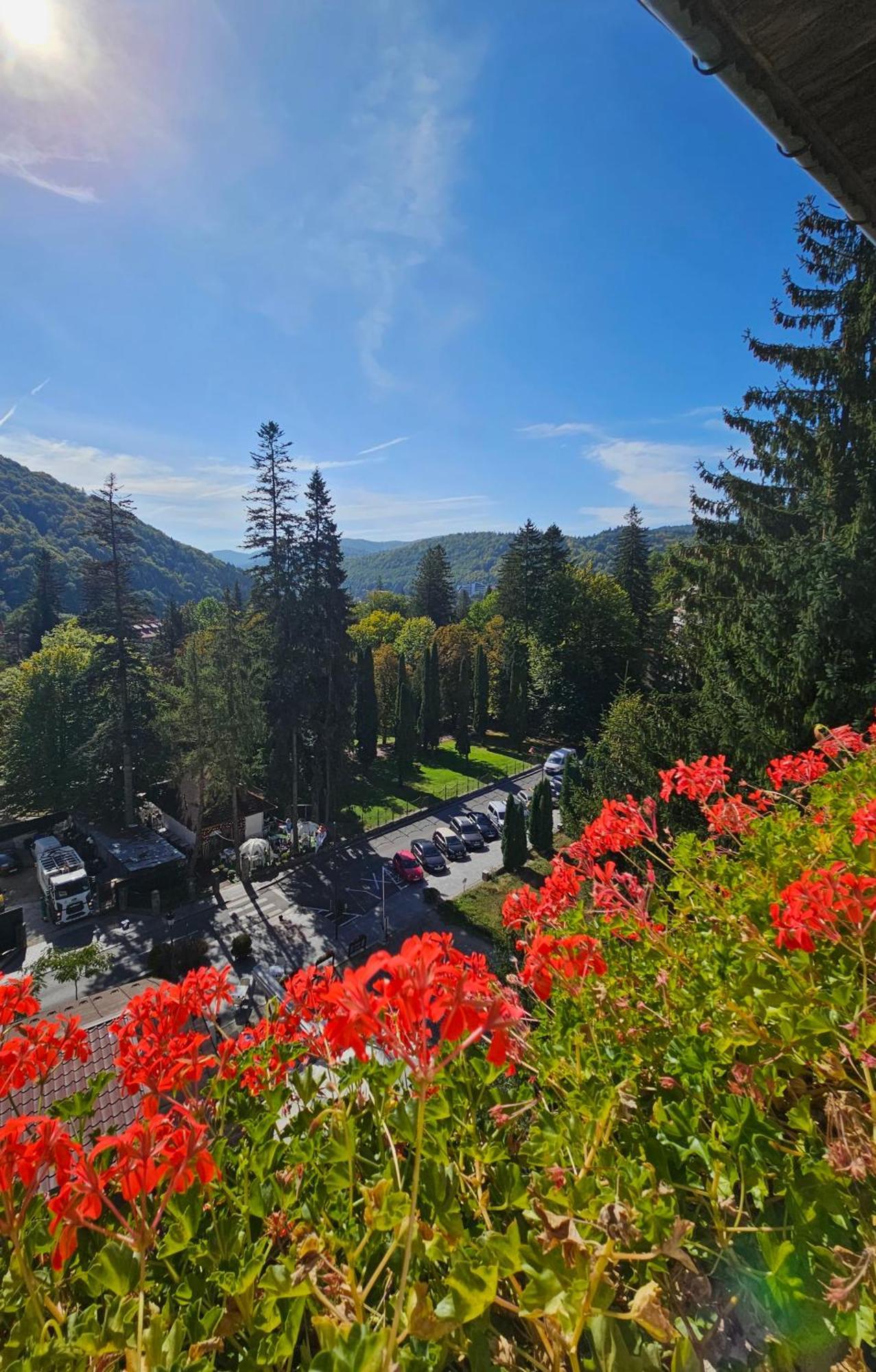 Laura Apartments Sinaia Luaran gambar