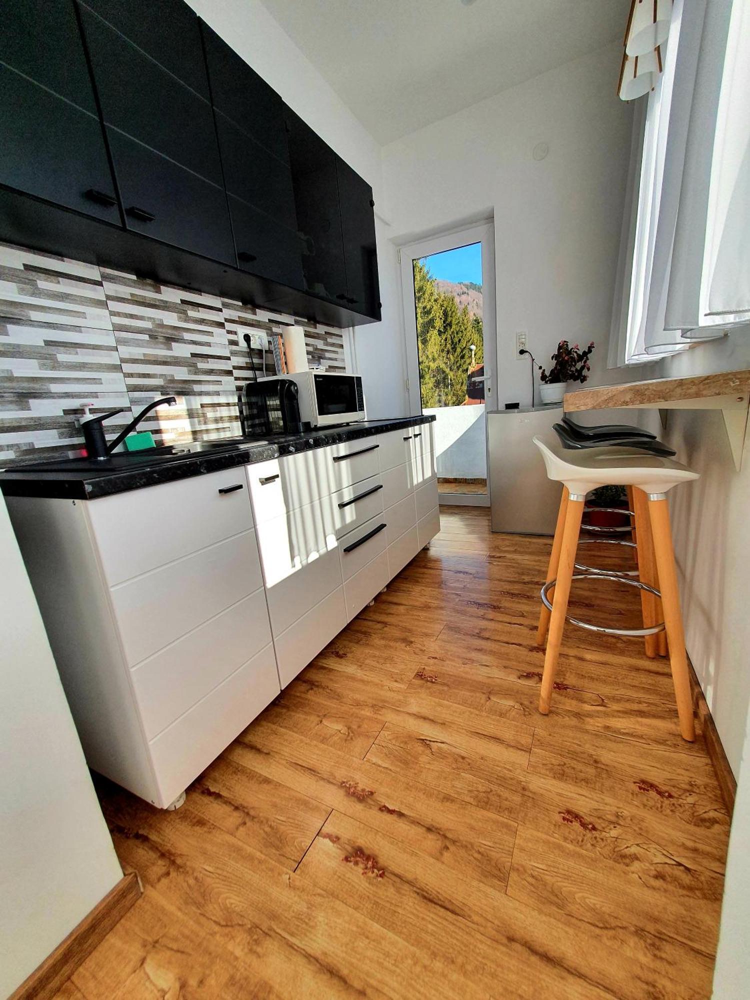 Laura Apartments Sinaia Luaran gambar