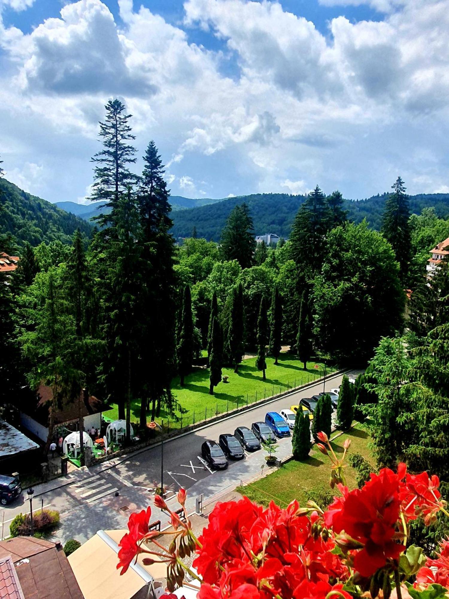 Laura Apartments Sinaia Luaran gambar